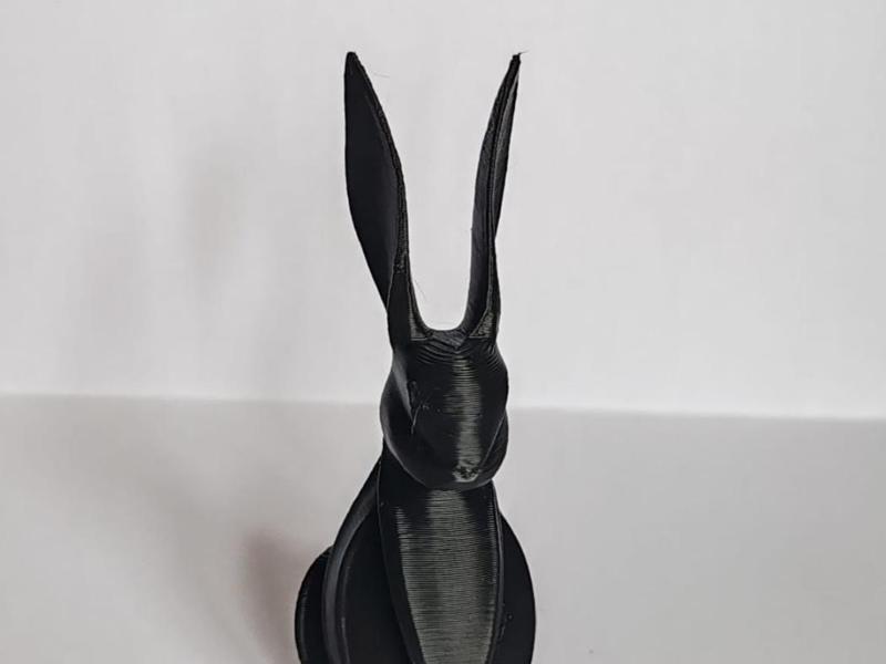 Rabbit Bunny