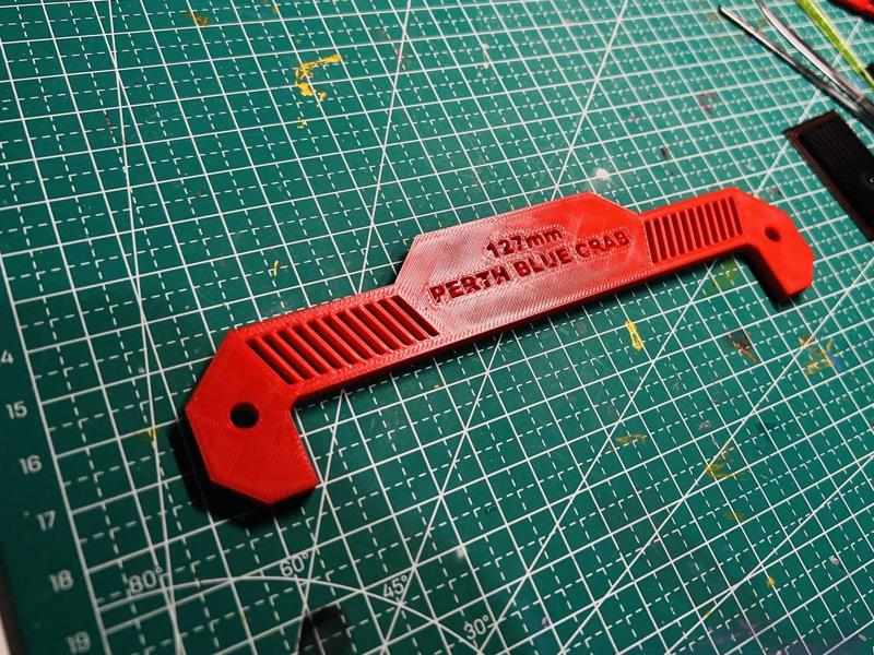 Perth blue swimming crab 127mm measure