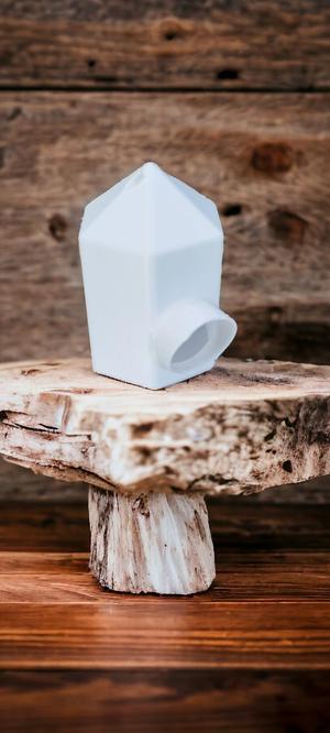SIMPLE BIRD HOUSE 2