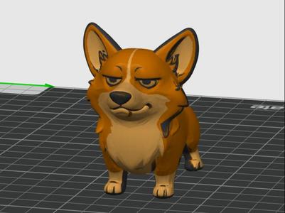 Cute smug Corgi model 