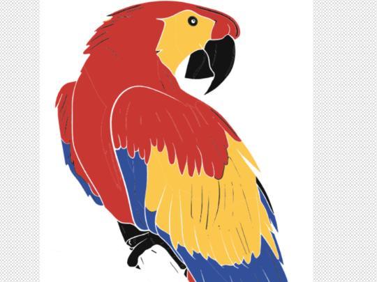 RED MACAW