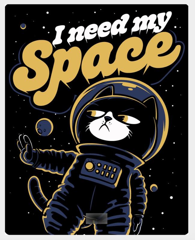 Lightbox space cat