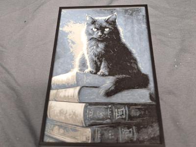 Black Cat on Books