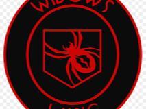 Widow's Wine Light Box