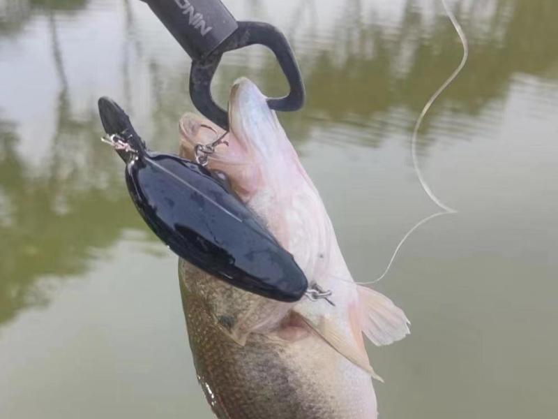 Crankbait 70 15g