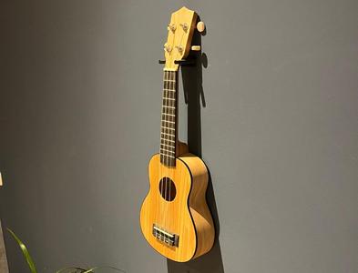 ukulele wall mount (single screw)