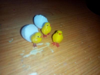 Chick