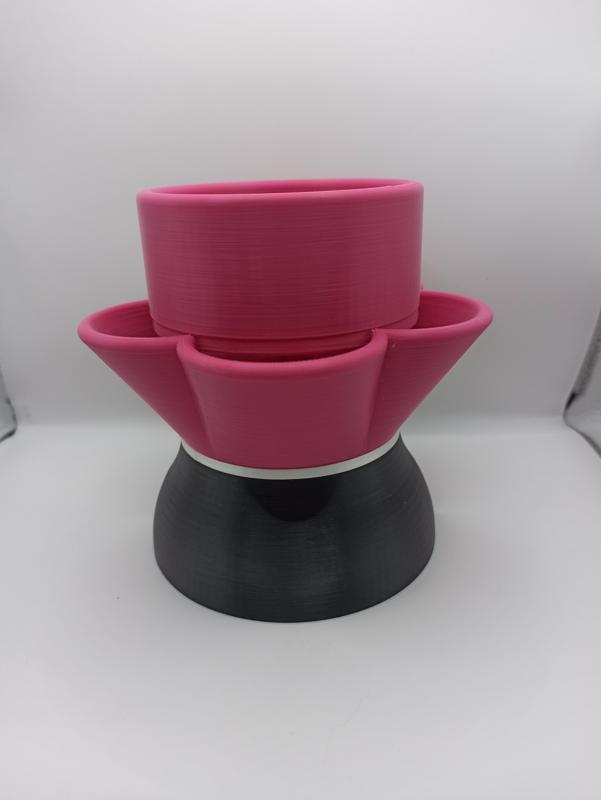 Stone and shell fruit dish