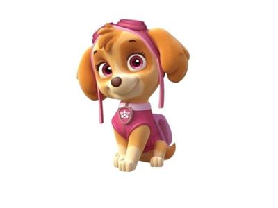 Paw Patrol  - Skye