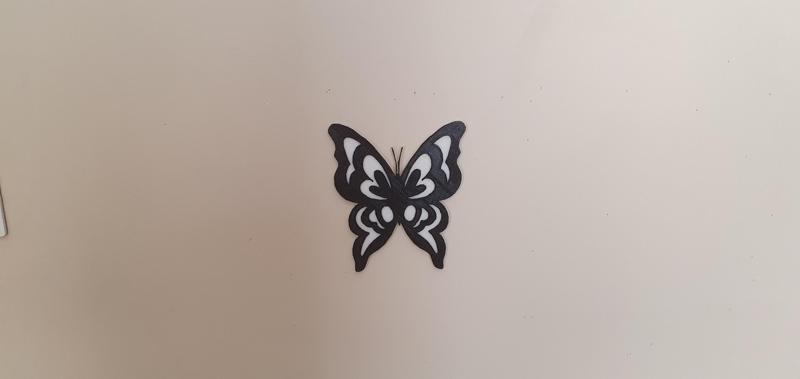 raised butterfly
