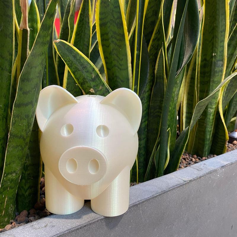 Piggy Bank