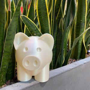 Piggy Bank