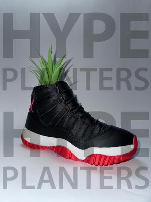 Jordan 11 High Bred Ikea planter