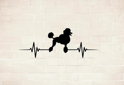 poodle dog home wall mural picture