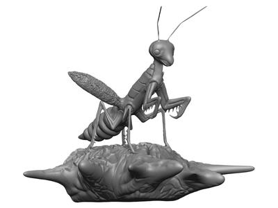 Praying Mantis
