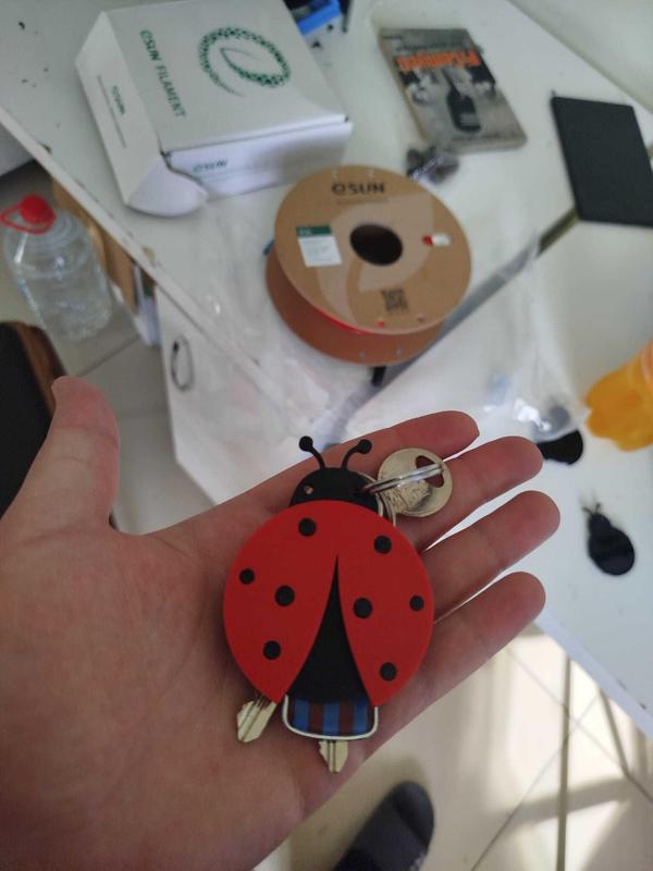 ladybird