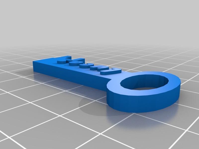 Leidse sleutel(hanger) / Key shaped Keychain.