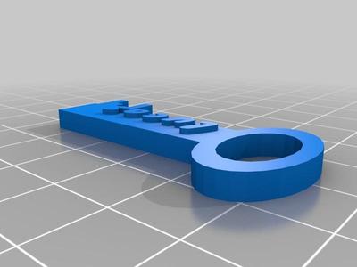 Leidse sleutel(hanger) / Key shaped Keychain.