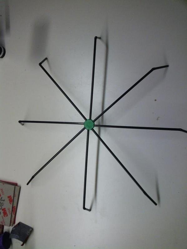 spider