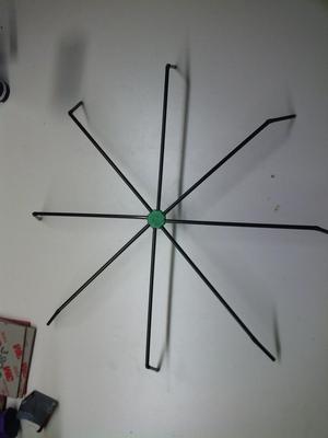 spider