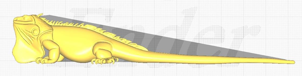 3D model represents the green iguana