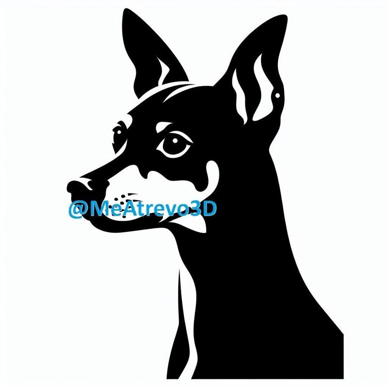 Miniature Pinscher #4