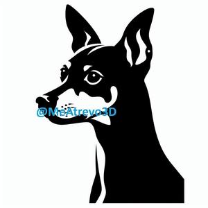 Miniature Pinscher #4