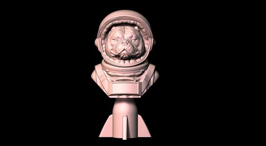 American Bully Astronaut