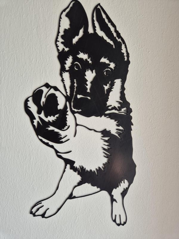 Playful Wolf Pup Extending Paw, german shepherd