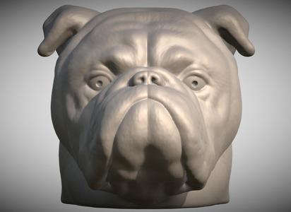English Bulldog head for 3D printing