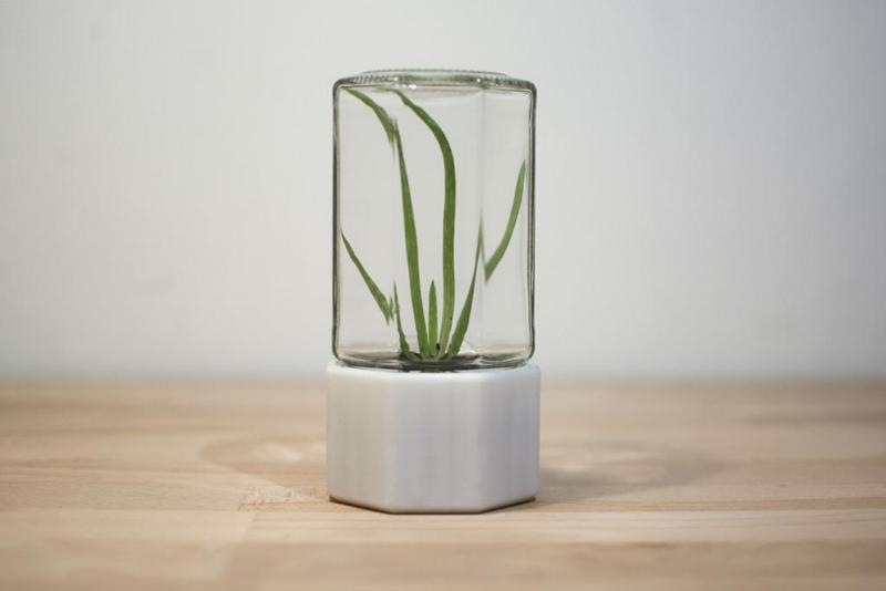 Jam Jar Miniature Greenhouse