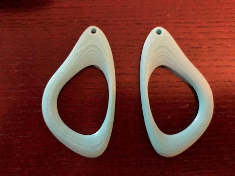 Weird Torus Earrings