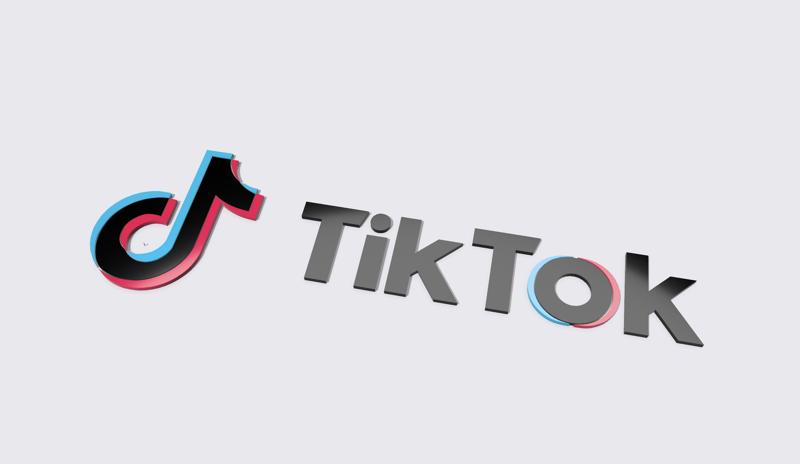 TikTok Logo