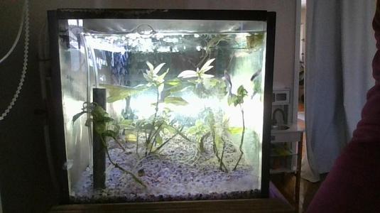 Air powered, modular, semi underground aquarium filter