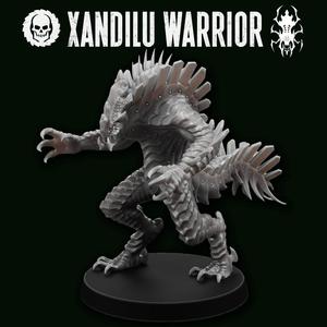 Xandilu Warrior