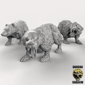Badgers (Pre Supported)