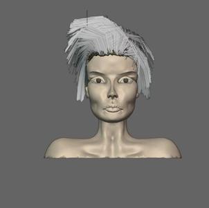 WOMEN'S BUST