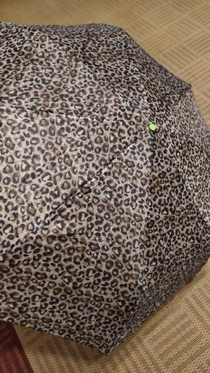 Dáždnik - horná skrutka