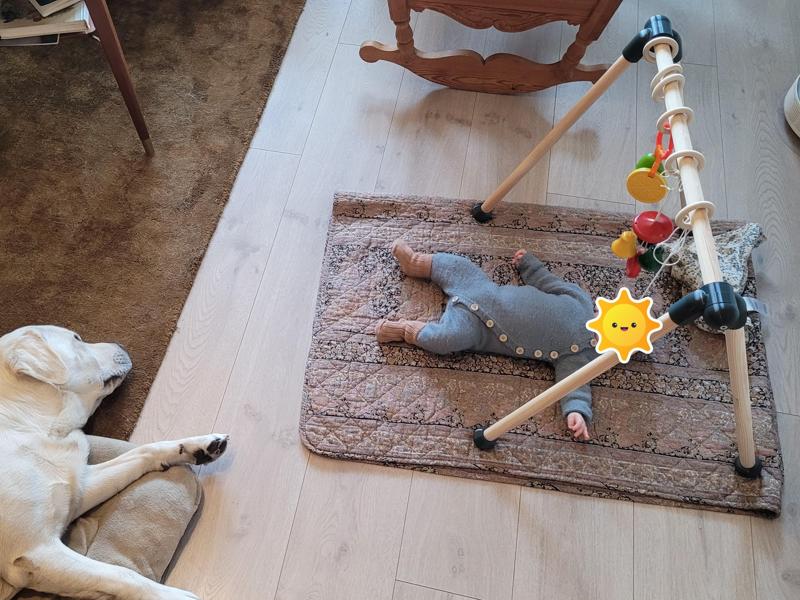 Collapsible baby gym