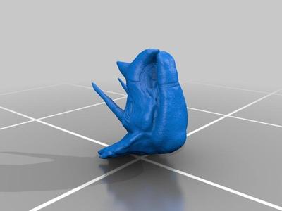 Triceratops Head