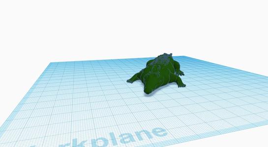 Alligator