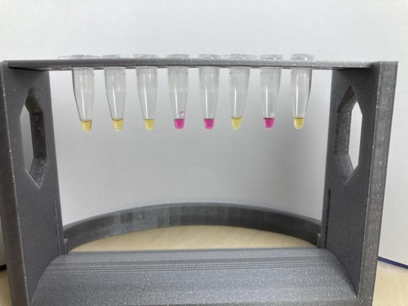 200μl microtubes and strips stand
