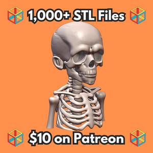 Quarter Scale Spooky Skeleton Kid Bust Sculpture MineeForm FDM 3D Print STL File