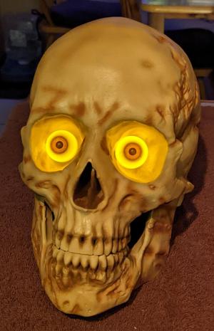 Lighted large Human Skull