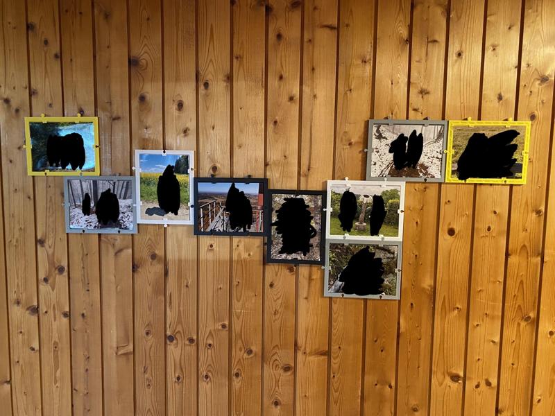 The Mosaic - Modulare Picture Frames