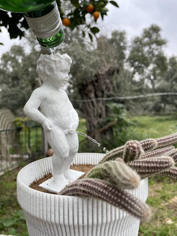 Peeing Boy Statue Plant Waterer