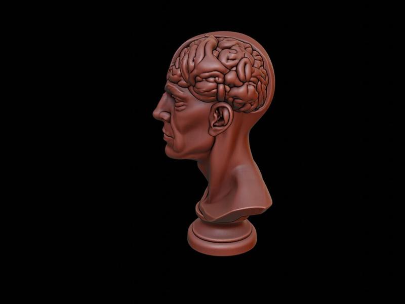 Brainiac Bust