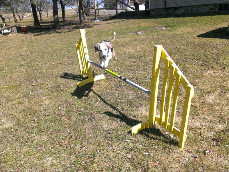 Agility Jump Cups (parametric)