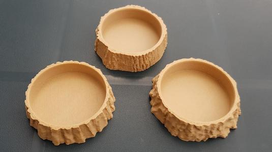 Oak Tree Texture Coaster