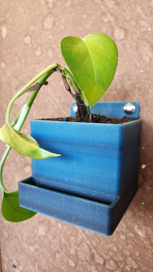 Wall planter-quick and easy print